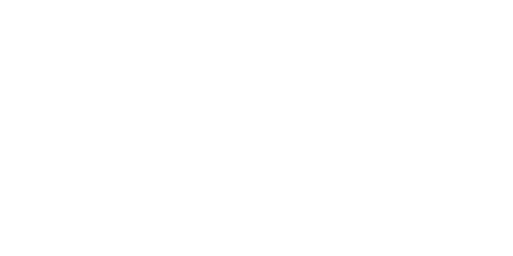 Control Position. Soluciones de Gestión para Flotas